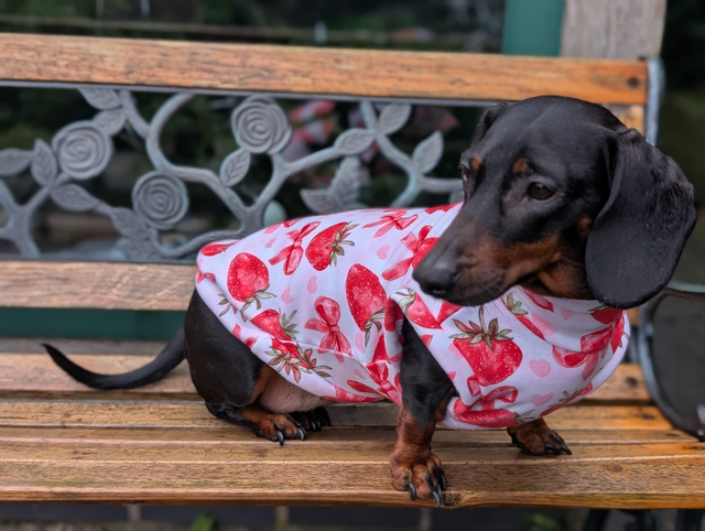 Eco fleece spring jumper