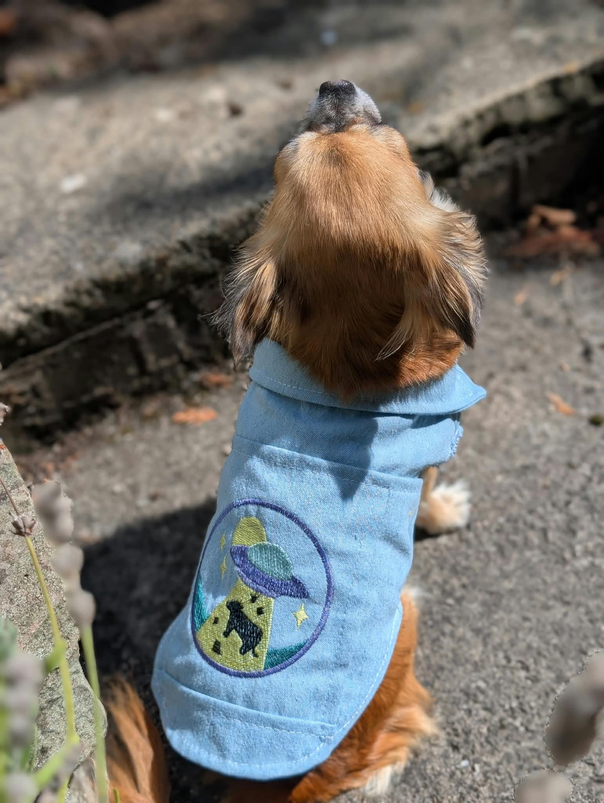 Embroidered Denim Dog Vest