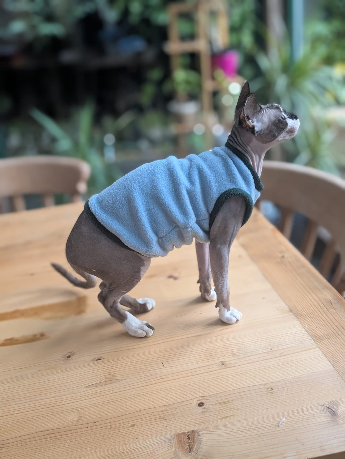 Colour block cat jumper