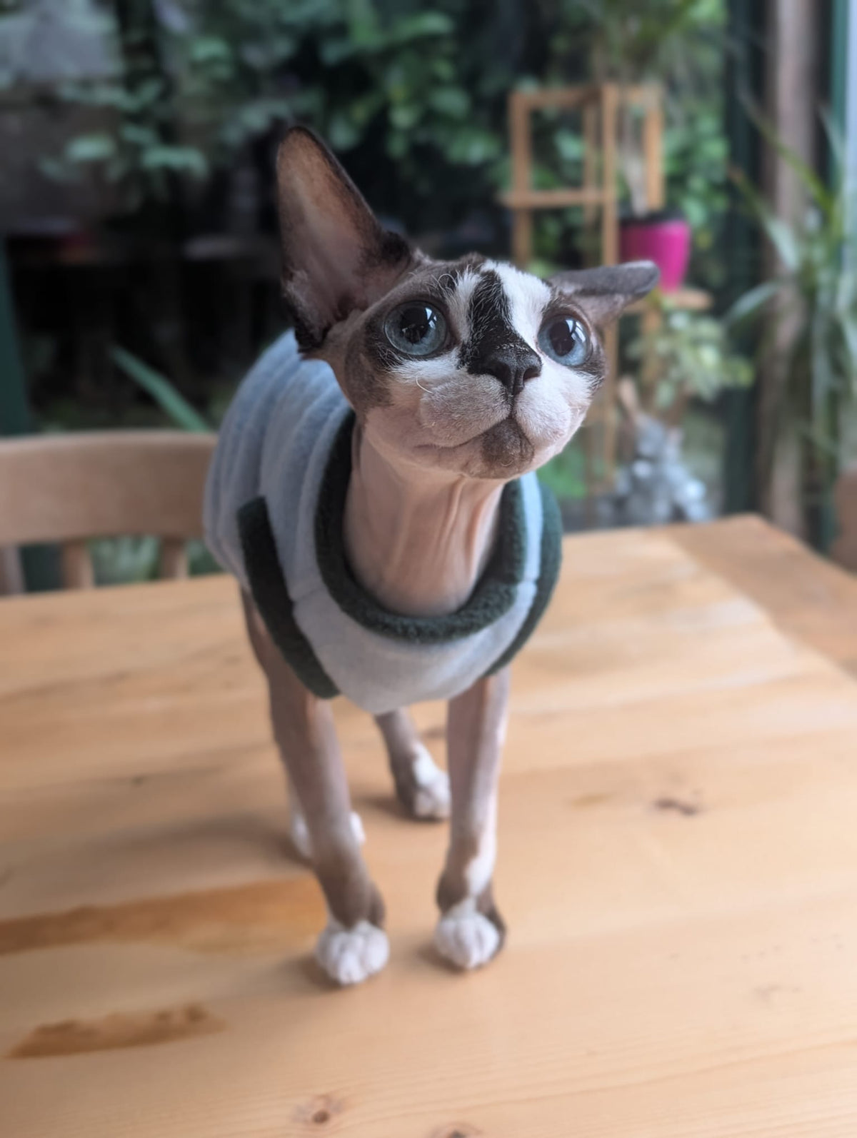 Colour block cat jumper
