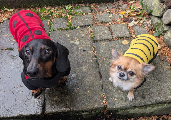Bumble bee and ladybird jumpers