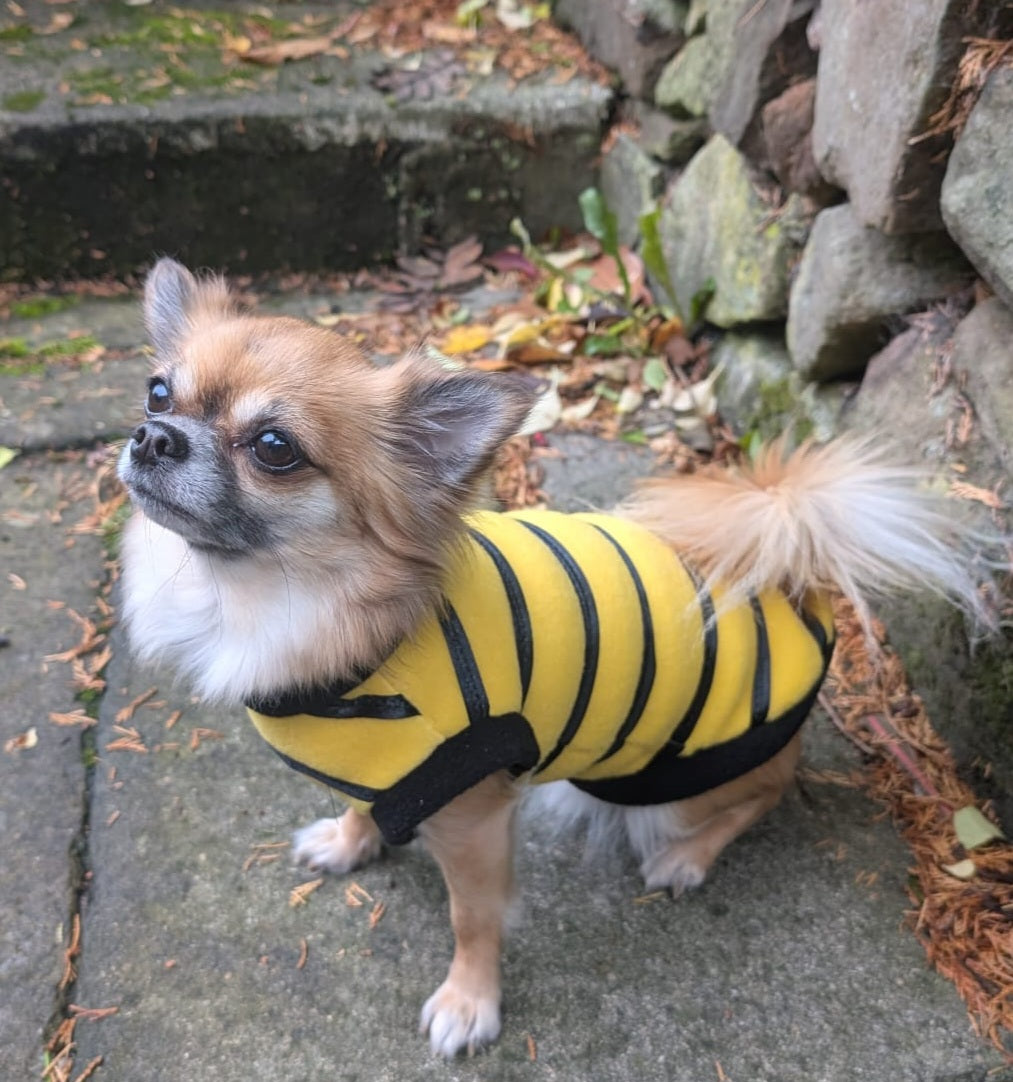 Bumble bee and ladybird jumpers