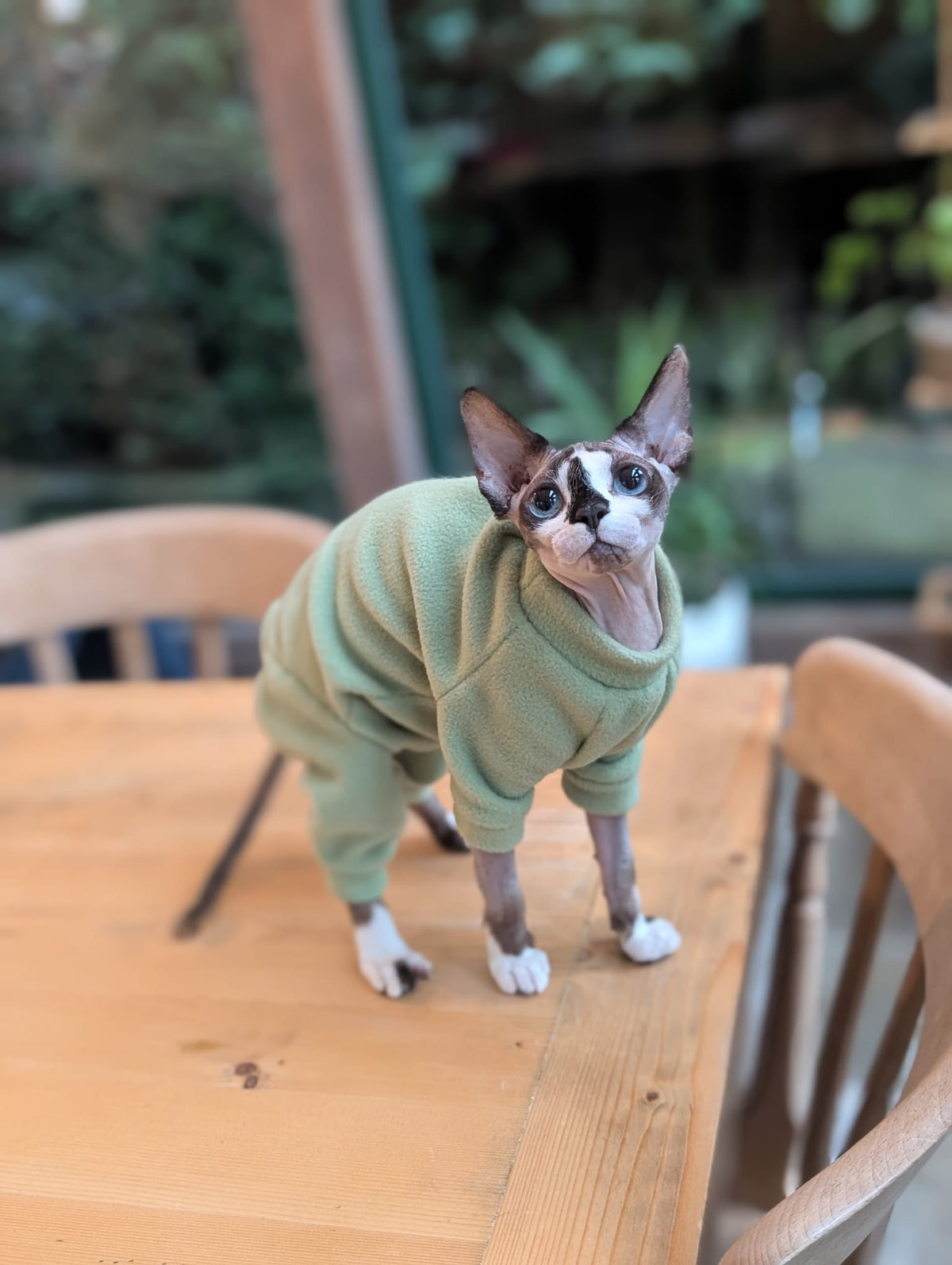Plain fleece cat onesie
