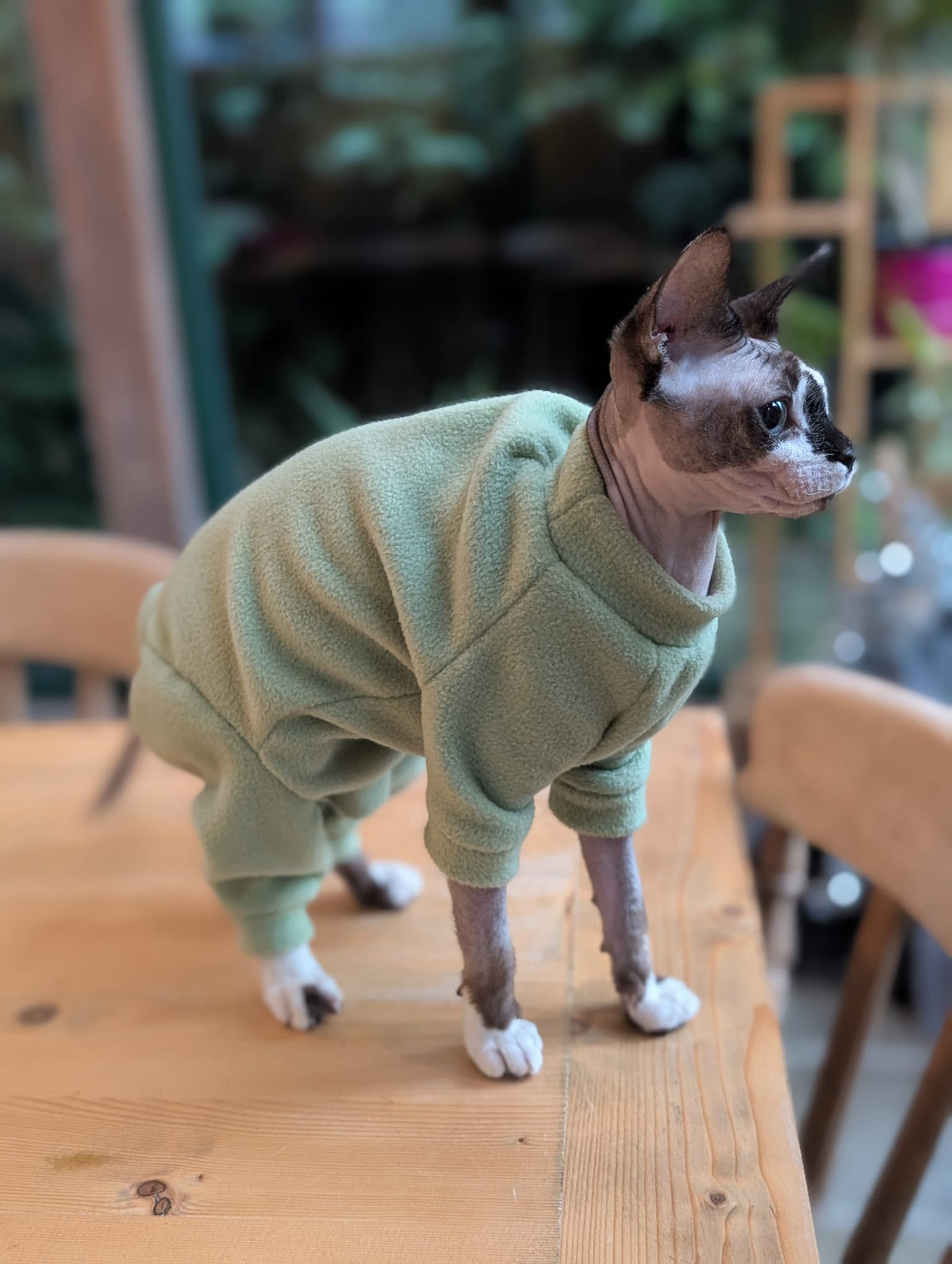 Plain fleece cat onesie