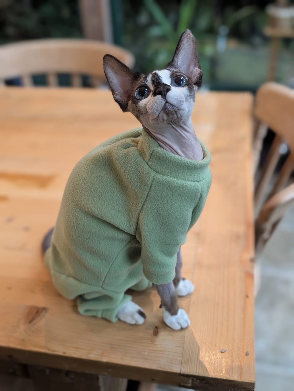 Plain fleece cat onesie