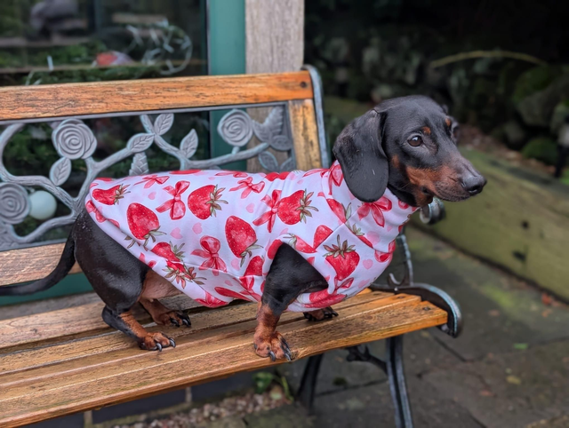 Eco fleece spring jumper