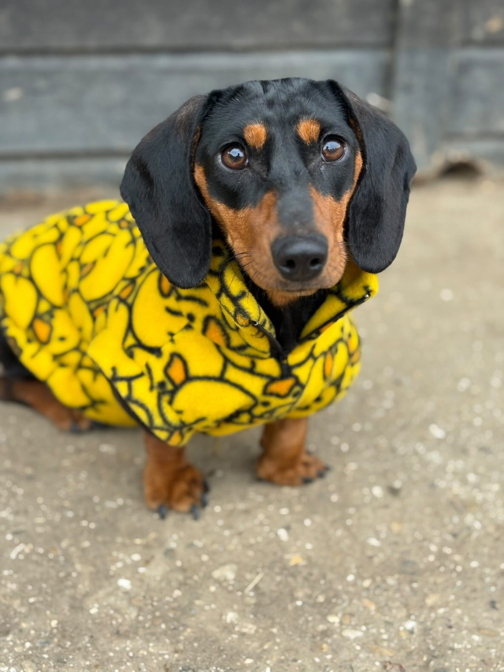 Pattern fleece quarter zip jumper