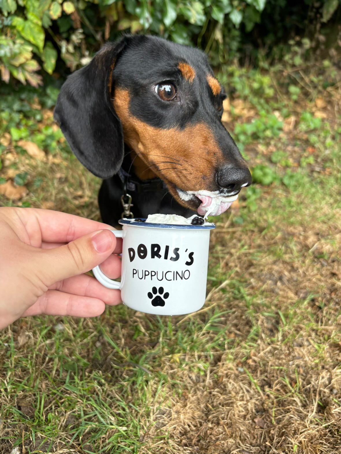 Personalised puppucino cup