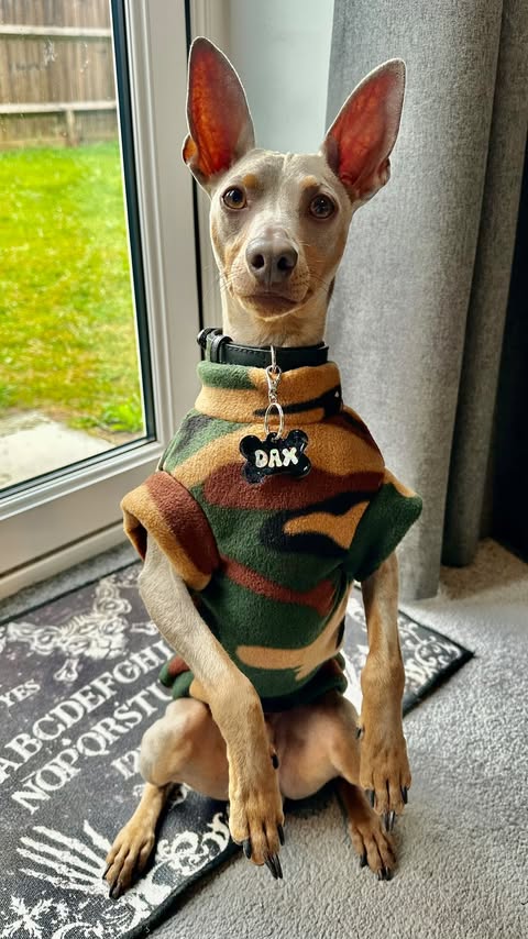 Patterned fleece jumper