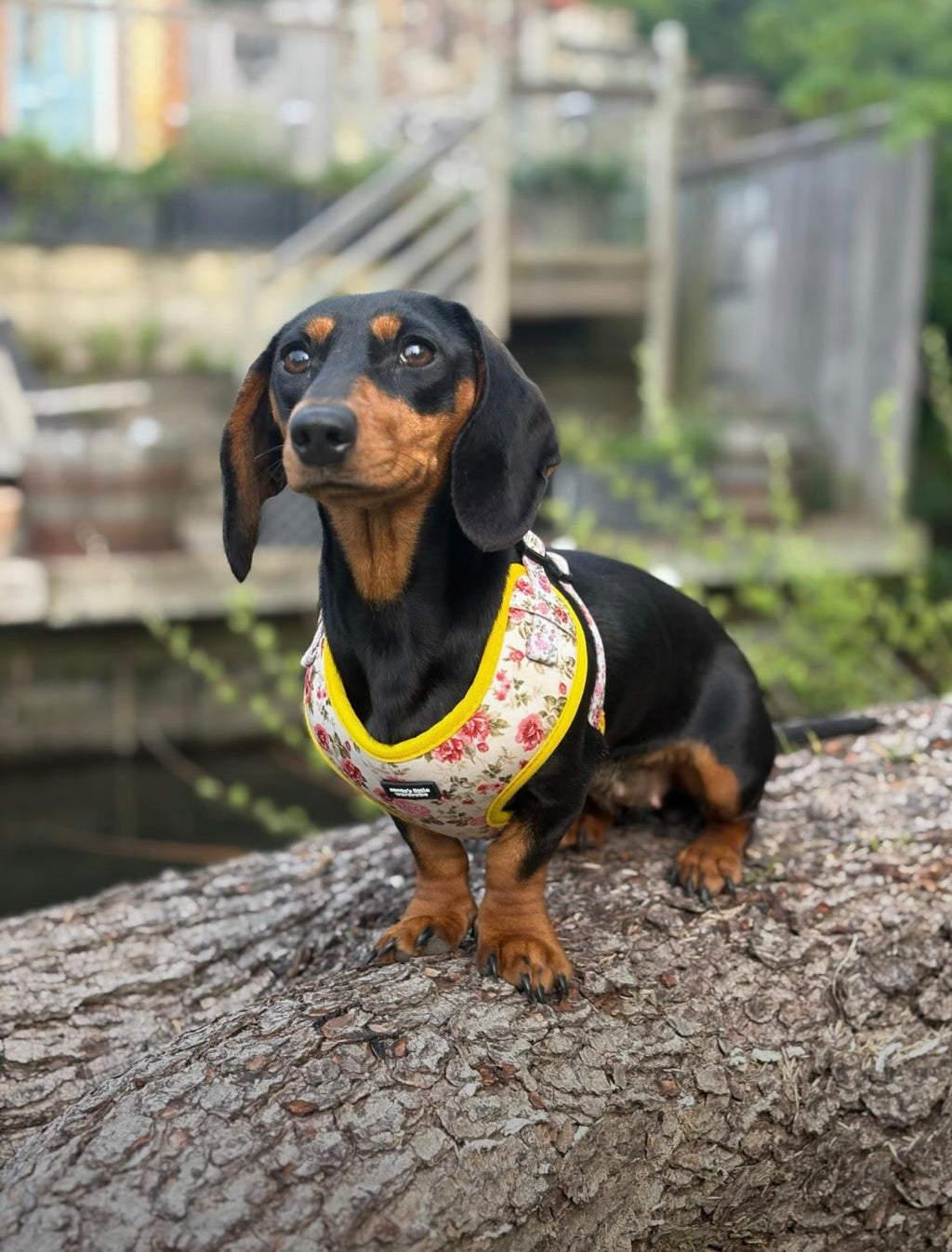 Secret Garden accessory bundle