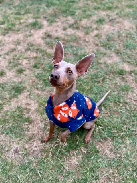 Patterned fleece jumper