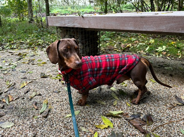 Patterned fleece jumper