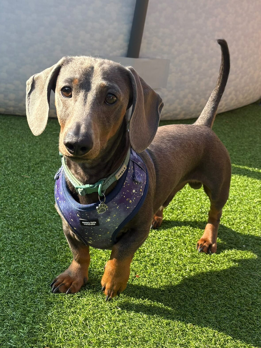 Starry Night accessory bundle