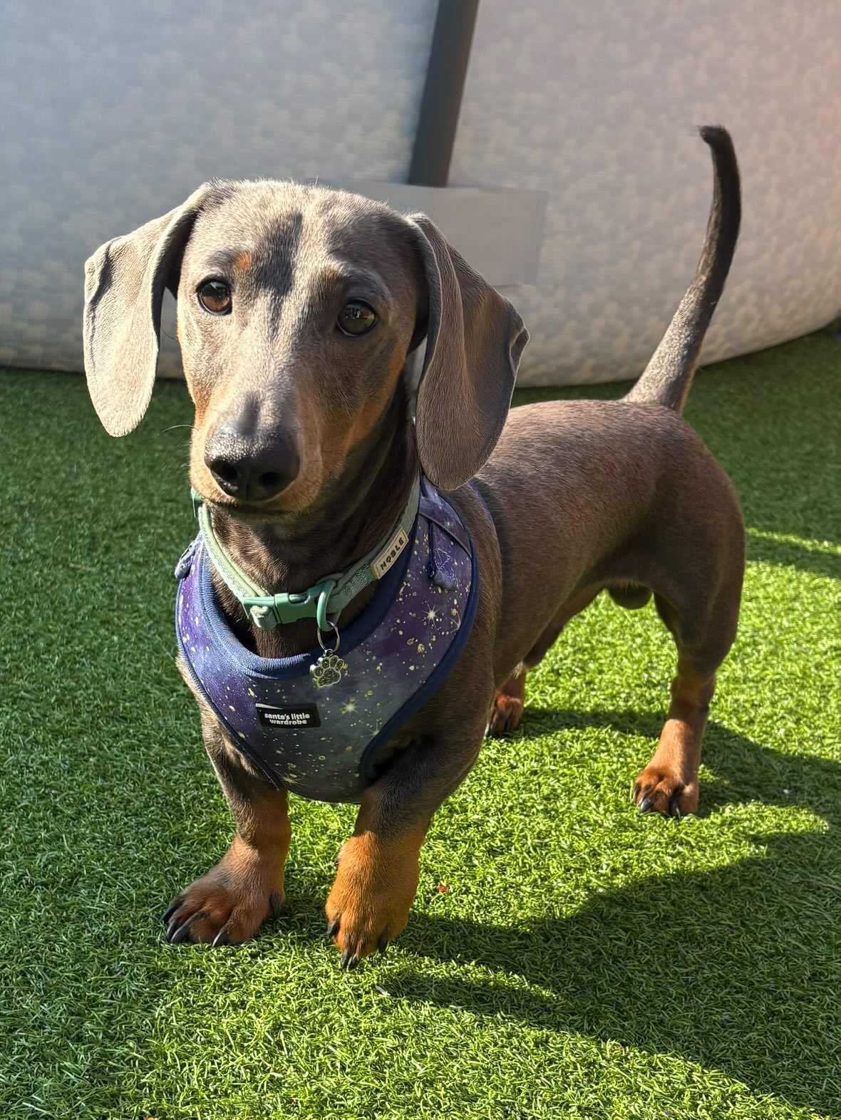 Starry Night accessory bundle