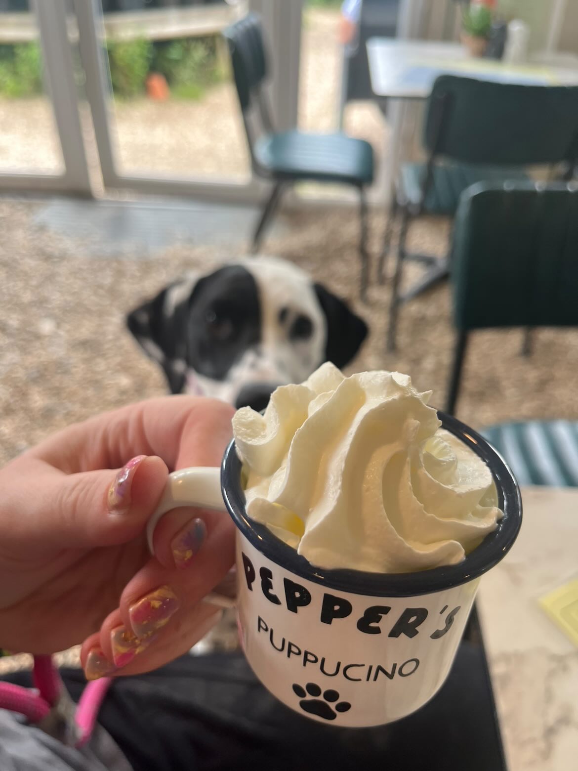 Personalised puppucino cup