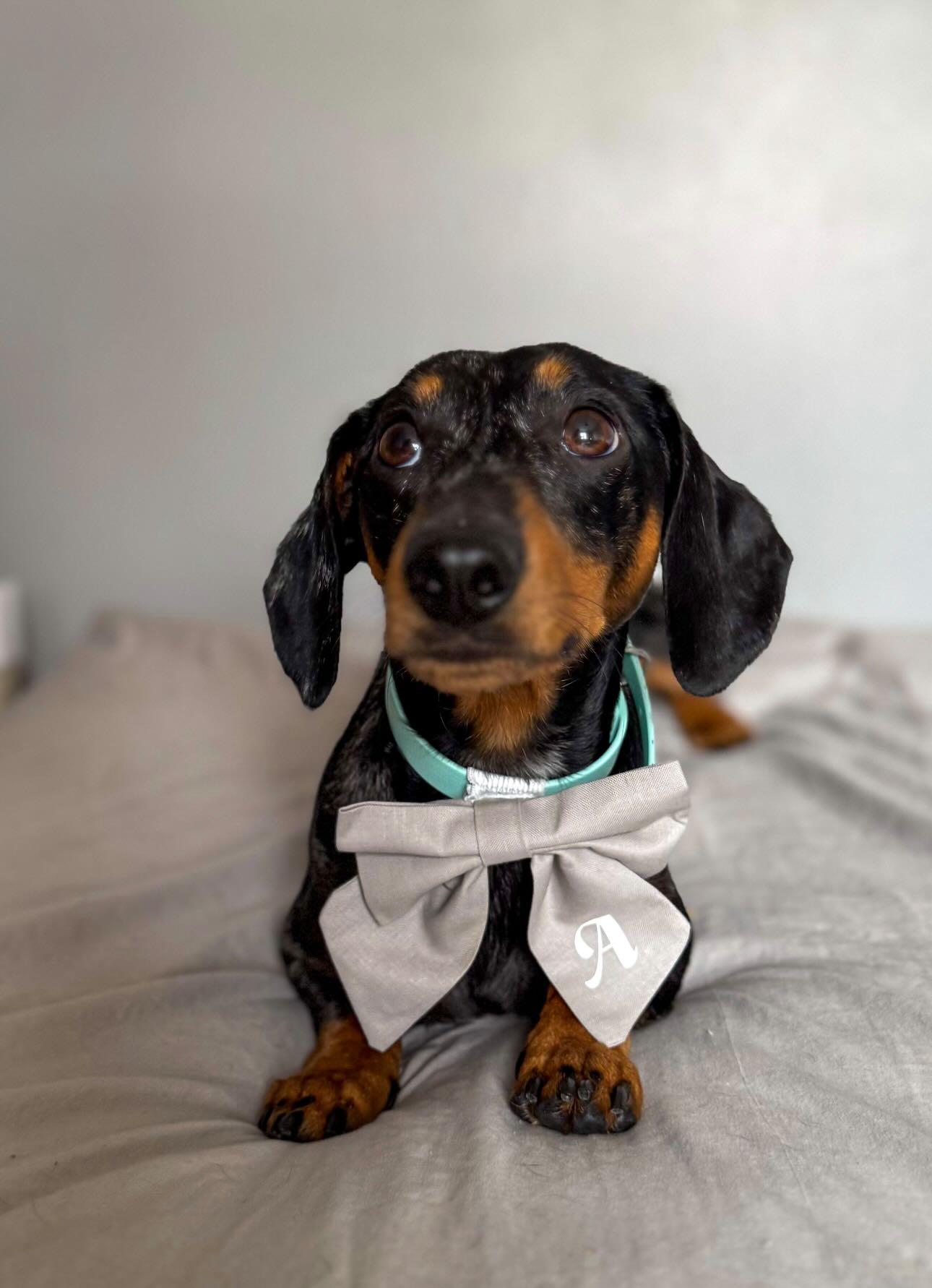 Monogrammed sailor bow