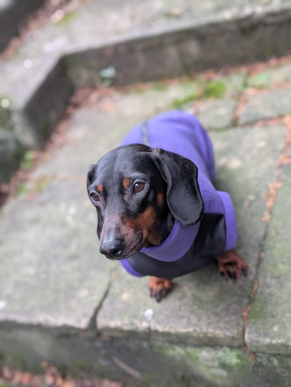 Adventure time jumper