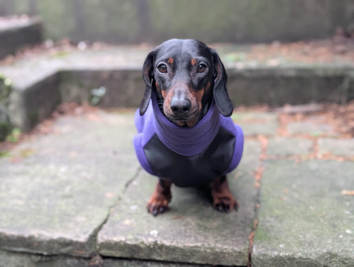 Adventure time jumper