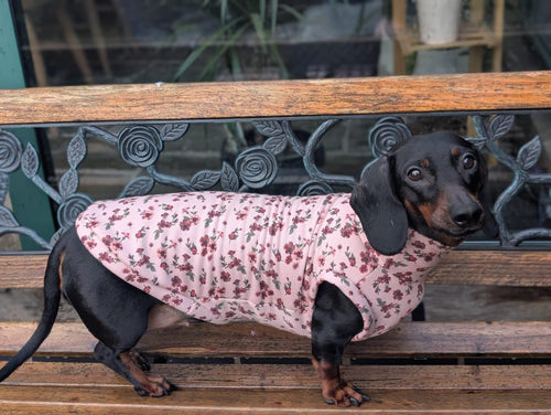 Alpine fleece turtleneck top