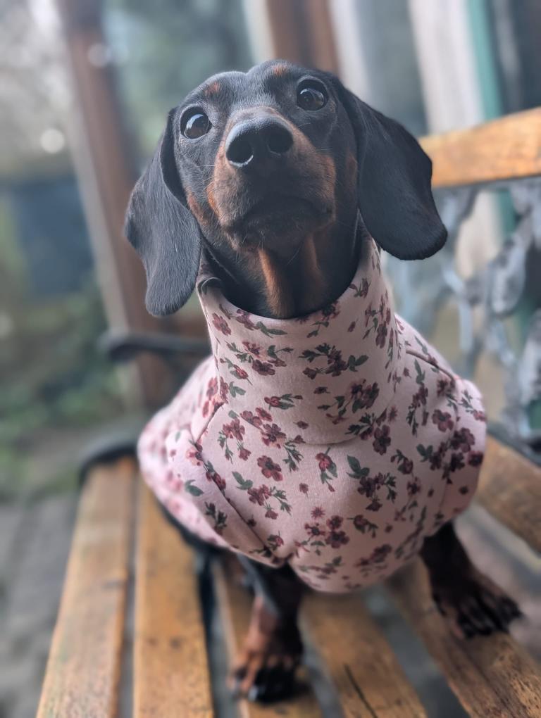 Alpine fleece turtleneck top