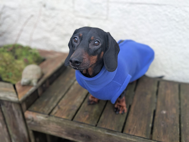 Back zipper fleece jumper