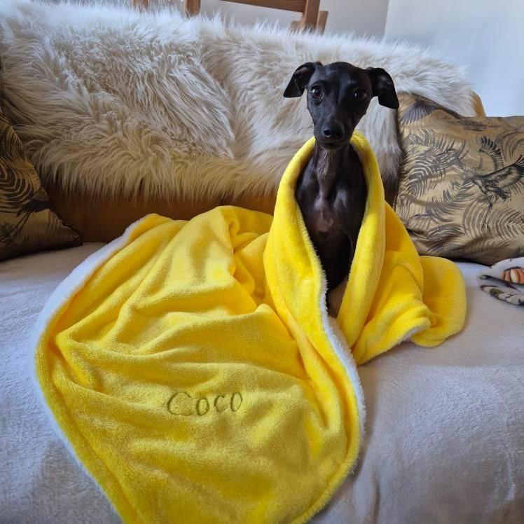 Personalised embroidered cuddle fleece blanket