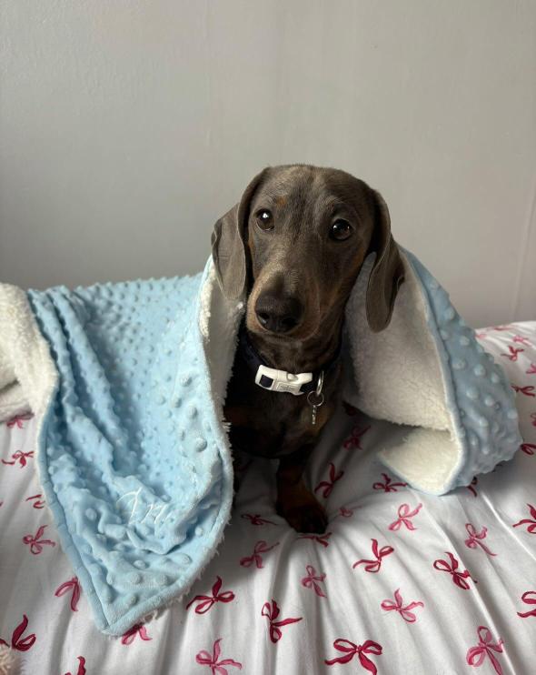 Personalised embroidered cuddle fleece blanket
