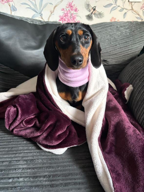 Personalised embroidered cuddle fleece blanket