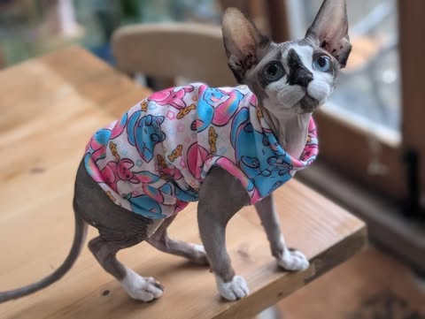 For your cats only eco fleece jumper