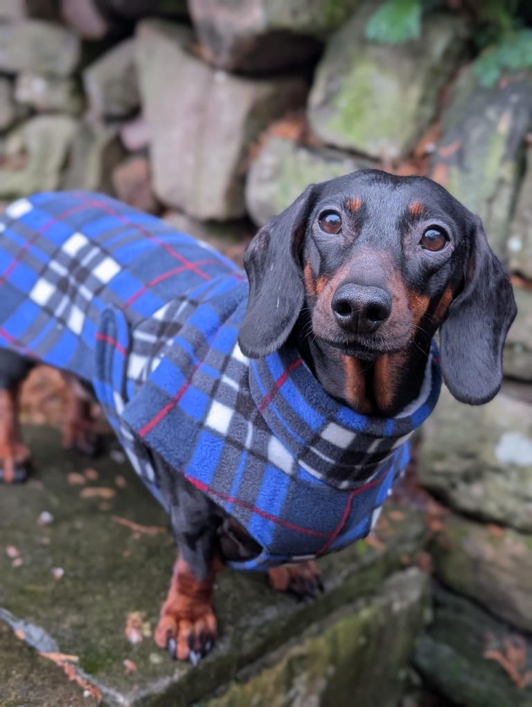 Waterproof tartan coat