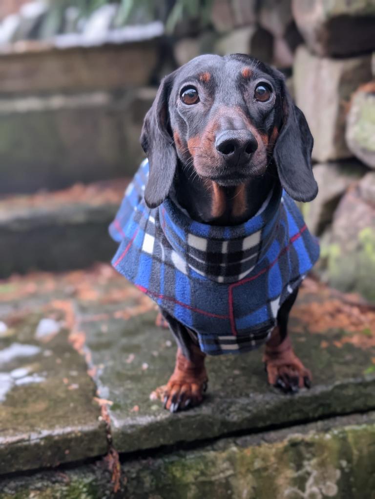 Waterproof tartan coat
