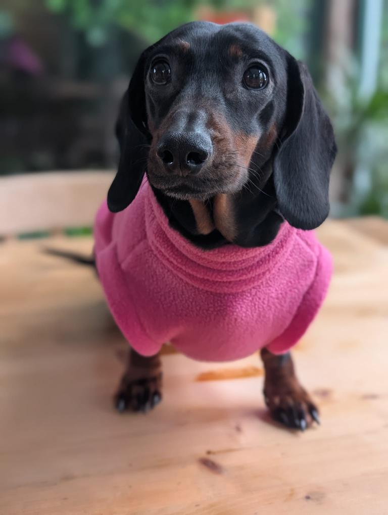 Fleece jumper