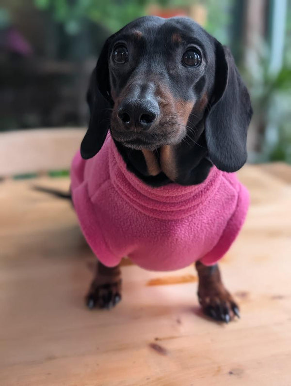 Fleece jumper