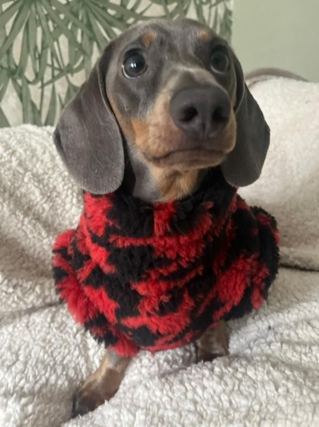 Houndstooth sherpa fleece jumper