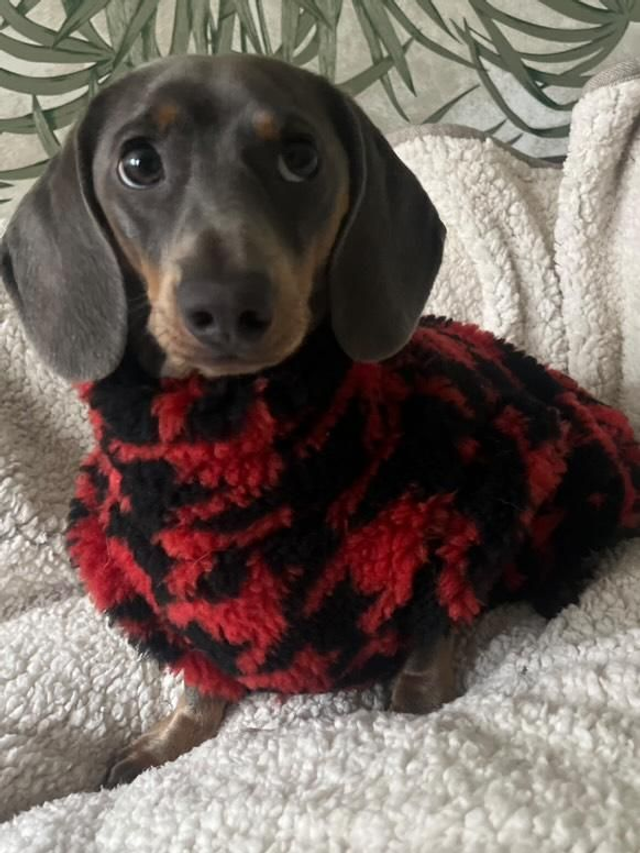 Houndstooth sherpa fleece jumper