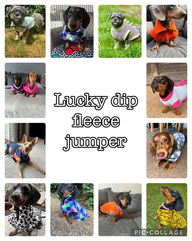 Lucky dip fleece jumper
