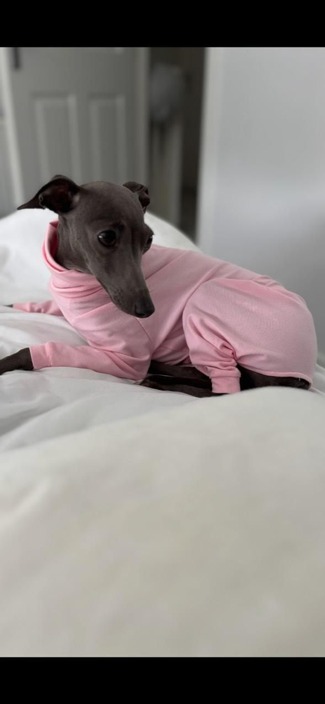 Patterned fleece iggy onesie