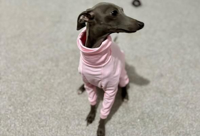 Patterned fleece iggy onesie