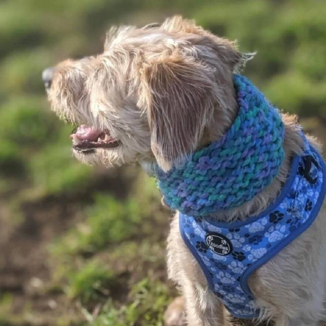 Multicolour chunky knit snood