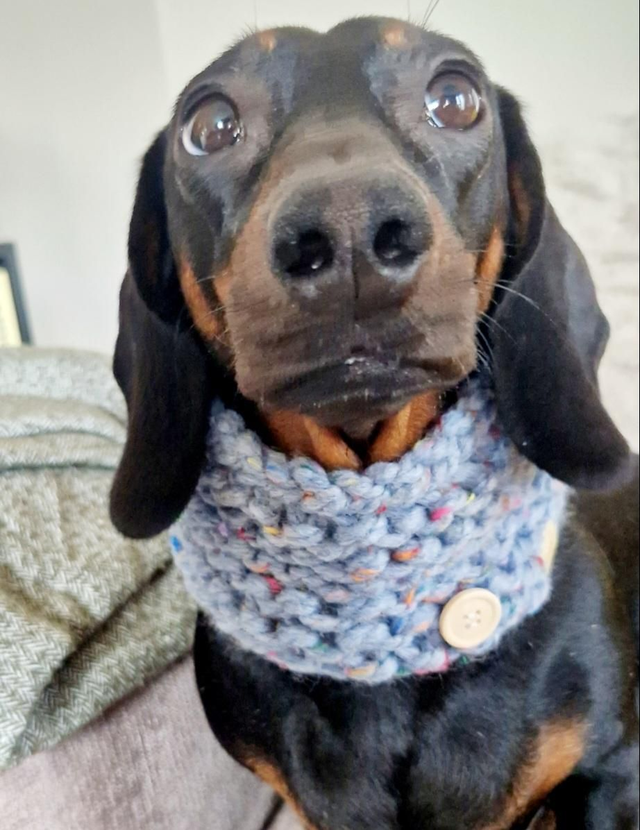 Rustic chunky knit snood