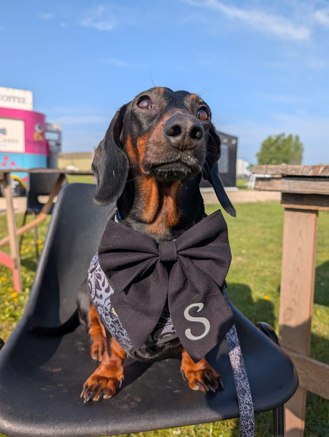 Monogrammed sailor bow
