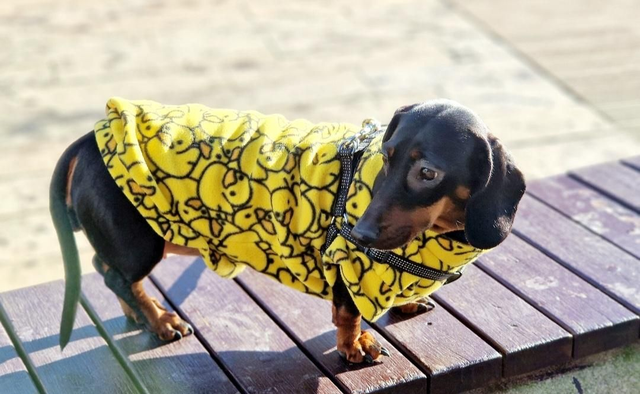Patterned fleece jumper