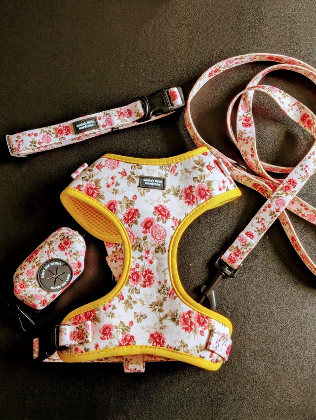 Secret Garden accessory bundle