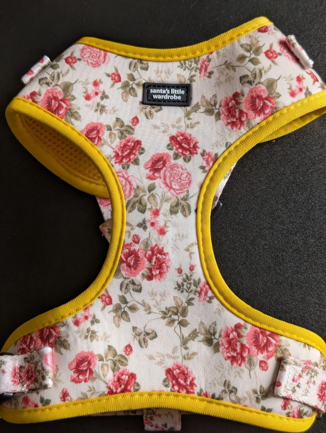 Secret Garden accessory bundle