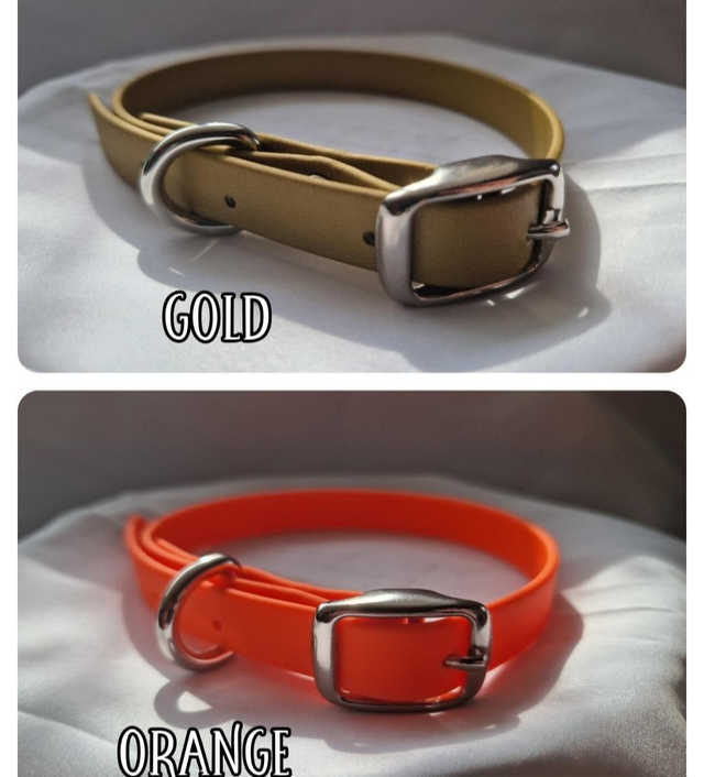 Biothane collars