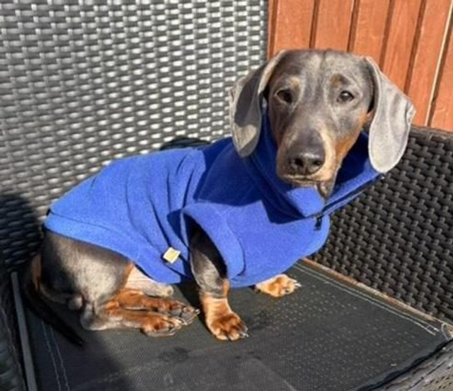 Quarter zip fleece jumper