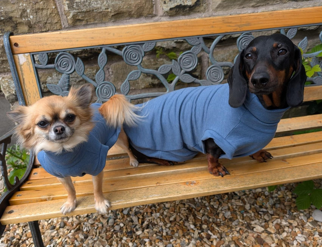 Plain colours jersey tops