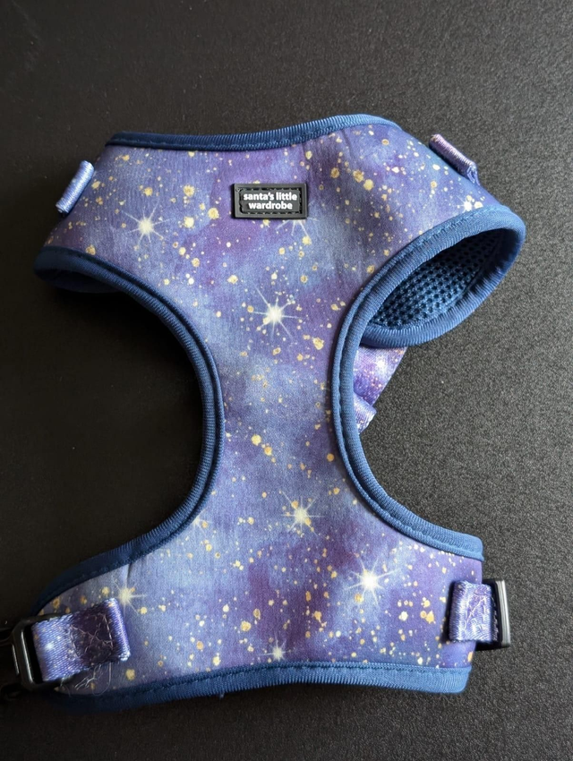 Starry Night harness
