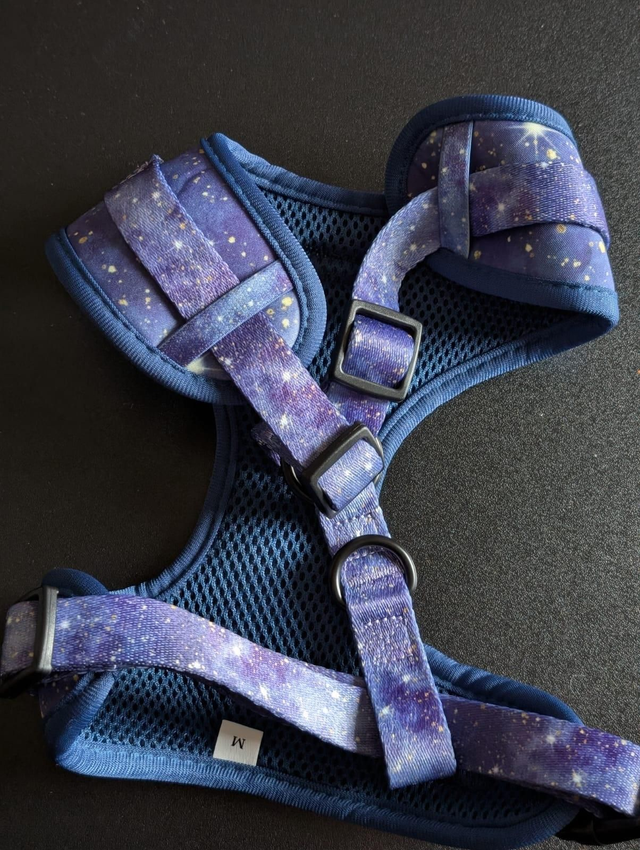 Starry Night harness