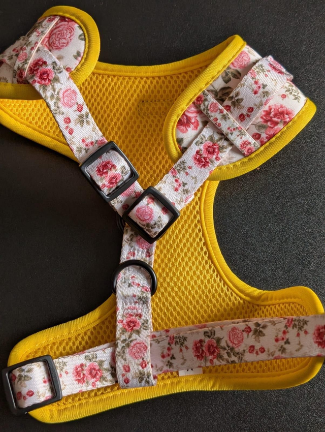 Secret Garden harness